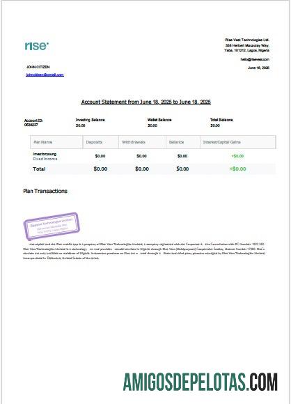em branco Nigéria Rise Vest Extrato de conta modelo Word e PDF